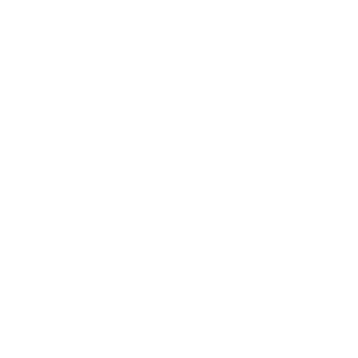 Icono 1